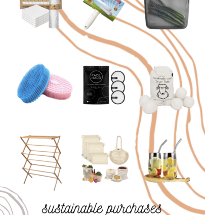 sustainable purchases you can make on amazon