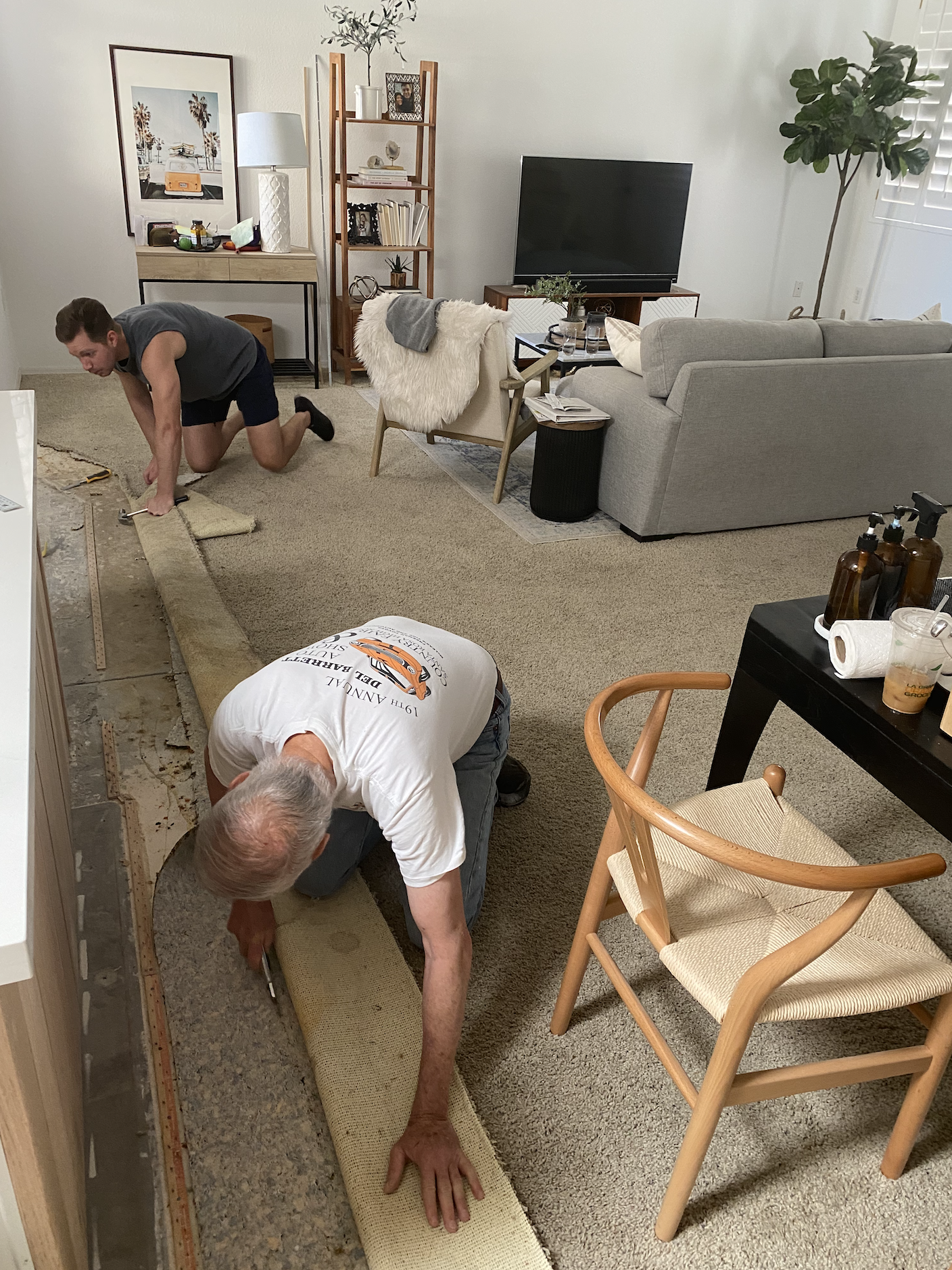 Carpet removal process